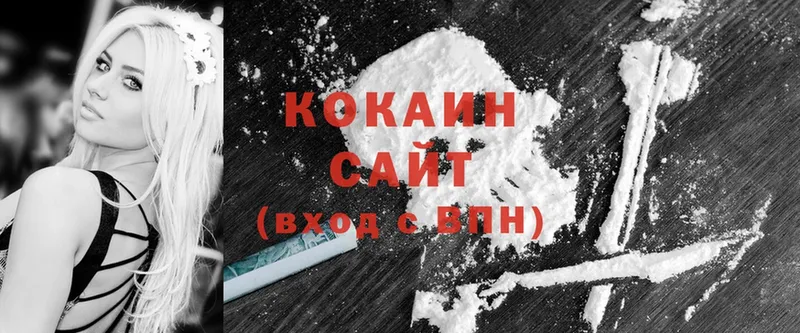 COCAIN Fish Scale  где купить наркотик  Батайск 