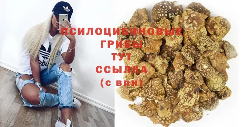 Псилоцибиновые грибы Magic Shrooms  ОМГ ОМГ ССЫЛКА  Батайск 